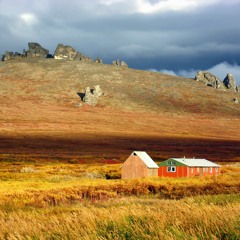 On The Tundra