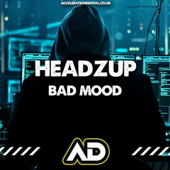 Bad Mood (bootleg)