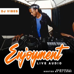 @ItsDJVibes x DJ Larni LIVE @ ENJOYMENT DAY PARTY - 100% BASHMENT/DANCEHALL