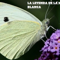 La leyenda de la Mariposa Blanca (creado con Spreaker)