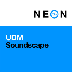 Soundscape (Extended Mix)