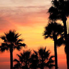 Dreams of distant sunsets. Beat#626