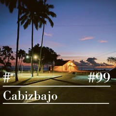 RIOTVAN RADIO #99 | Cabizbajo