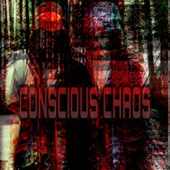 Conscious Chaos
