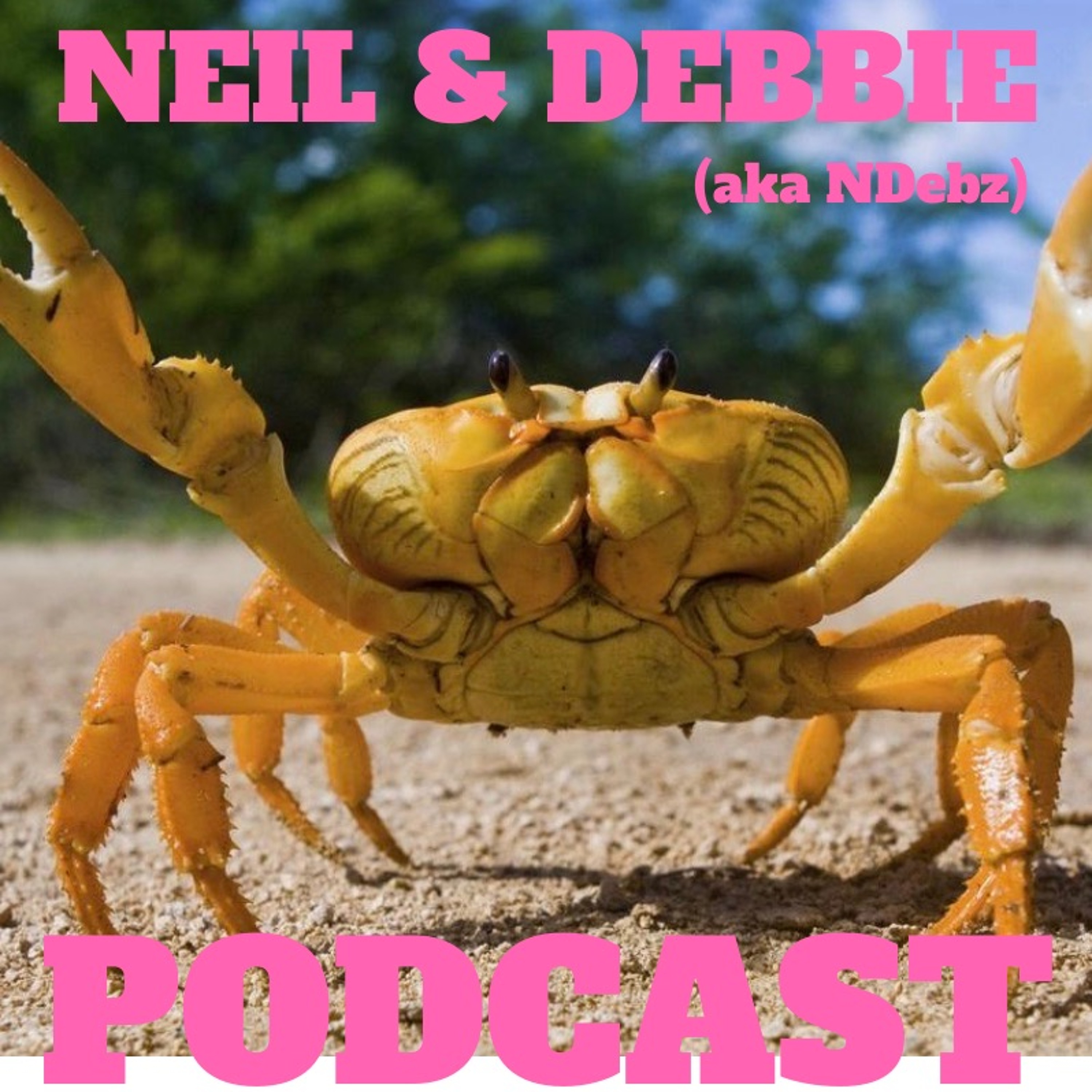 Neil & Debbie (aka NDEBZ)