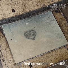 Red no wonder w. linUSB [09.05.25]
