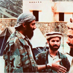 TERRORISTA FREESTYLE