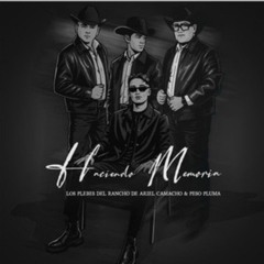 Los Plebes del Rancho de Ariel Camacho & Peso Pluma - Haciendo Memoria