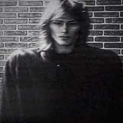 DAVID GUETTA - PLAY HARD (HARDSTYLE, BASS BOOSTED, LOOP)