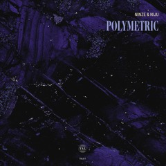 Ninze & Niju - Polymetrik EP [TAL011]