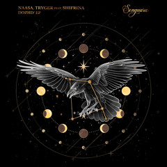 NAASA, Tryger feat. Shifrina - Dni (Original Mix)