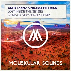 Andy Prinz & Naama Hillman - Lost Inside The Senses (Chris SX New Senses Remix)