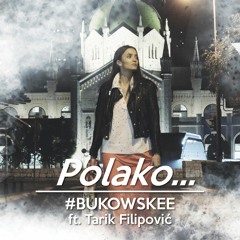 POLAKO... ft. Tarik Filipović