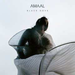 Amaal - Later