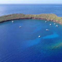 Best Crater In Maui For Snorkeling Prices Reviews