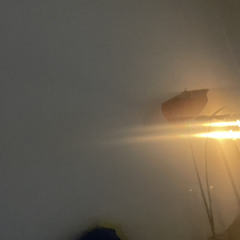 HOME GROOVE SESH 001