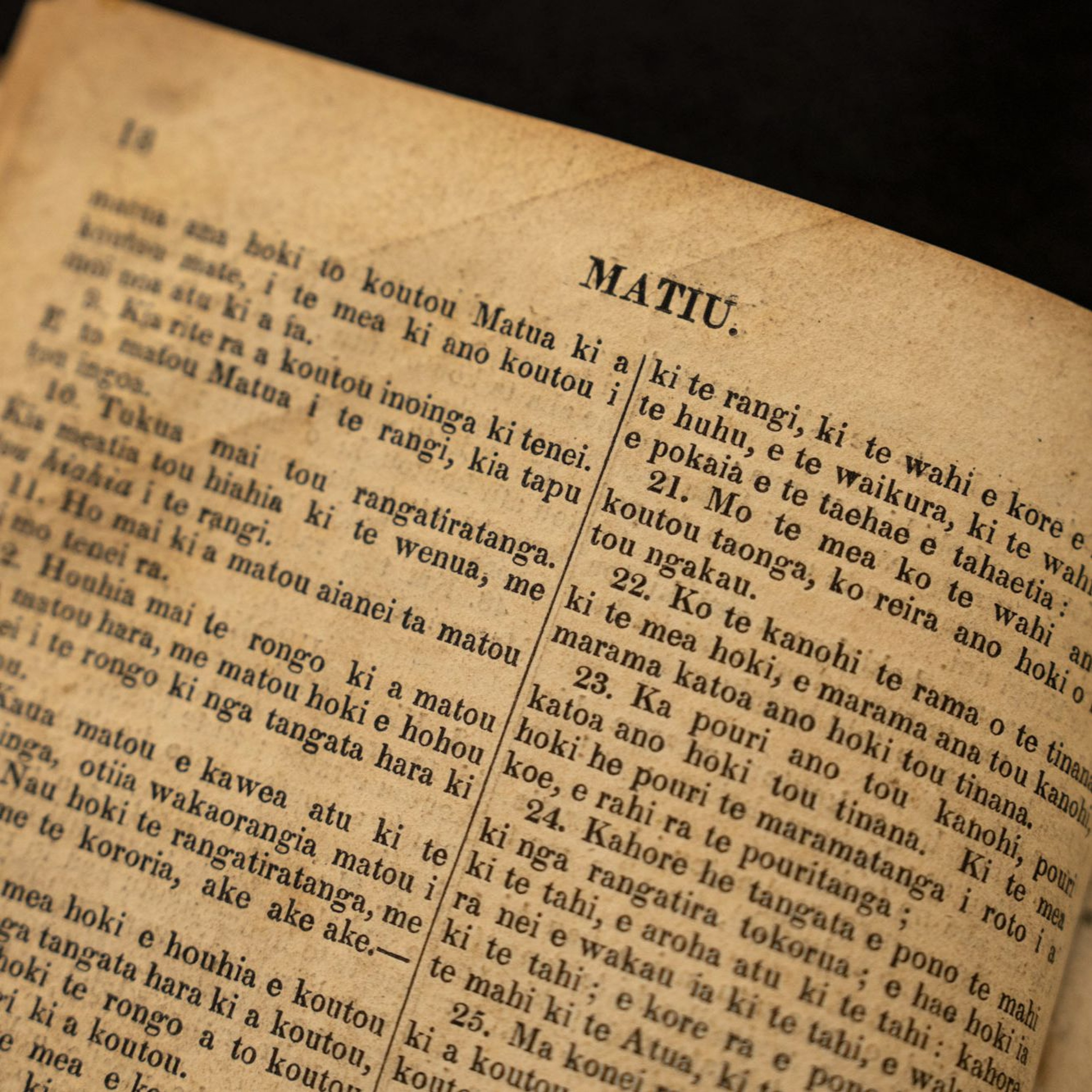 Ngā Pātaka Kōrero - Auckland Libraries