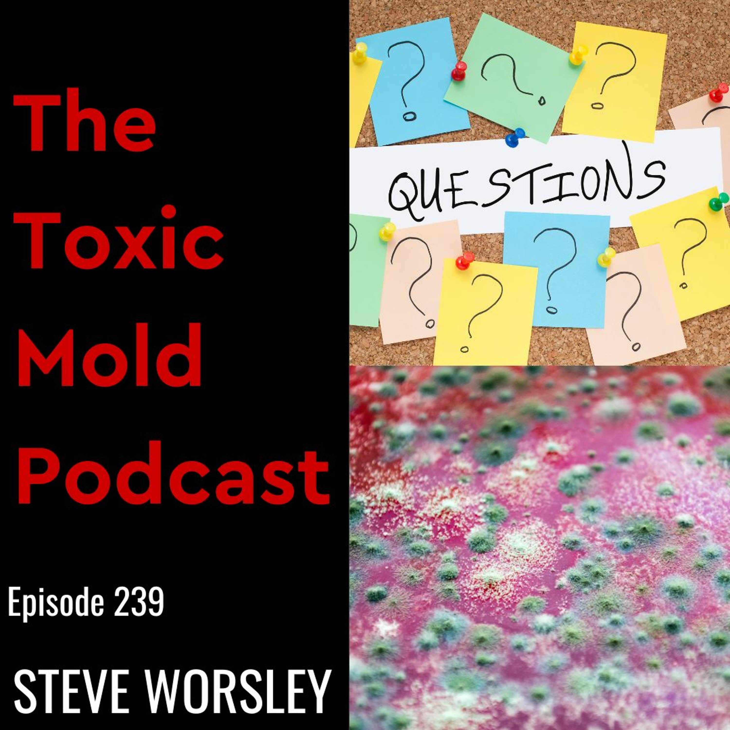 The Toxic Mold Podcast
