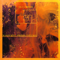 WANDERING POSSIBLITIES MIX - DJ LUMINIX