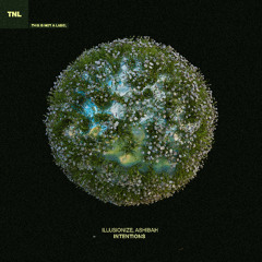 Illusionize, Ashibah - Intentions