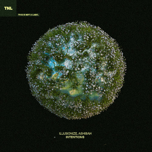 Illusionize, Ashibah - Intentions