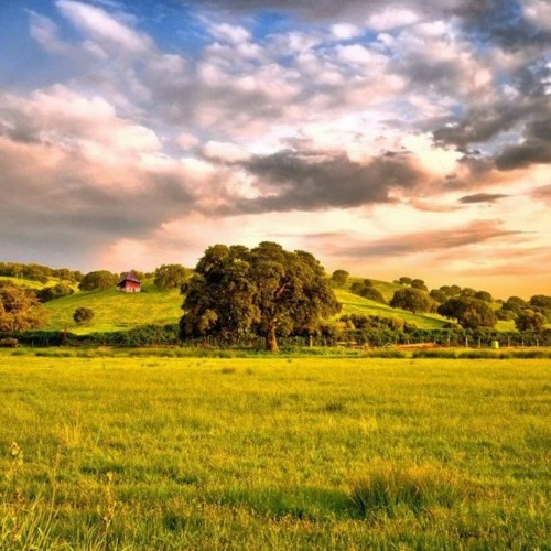 Andyruddy background video ‼️FREE DOWNLOAD