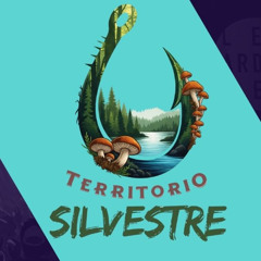 Territorio Silvestre Programa 6 Cañete (Cuenca) con la micología ,pesca ,caza y gastronomía