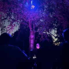 Dimman Open Air 26/07/2025