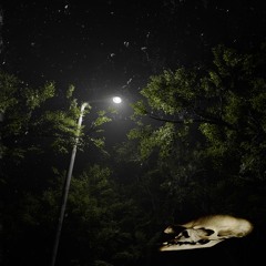 streetlight photosynthesis