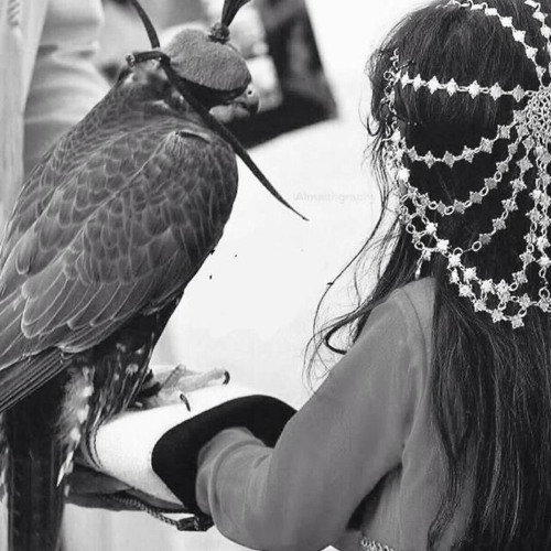 ‎⁨مات قلبي - فرقة الكنود