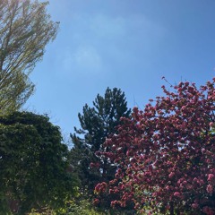 The 1975 - If You're Too Shy (Let Me Know)(Remix)