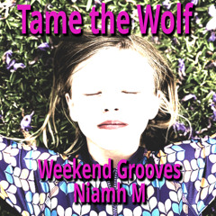 Weekend Grooves - Tame the Wolf featuring Niamh M