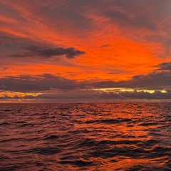 Keri Harris Mini Globe Race Leg 2 - 24042025