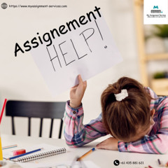 Expert Assignment Help: Get Top-Quality Assistance for Your Academic Success