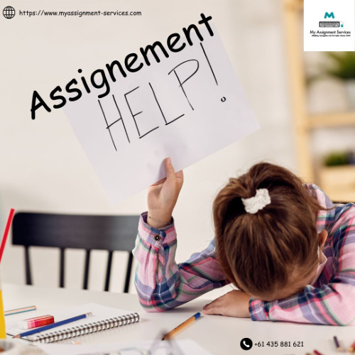 Expert Assignment Help: Get Top-Quality Assistance for Your Academic Success