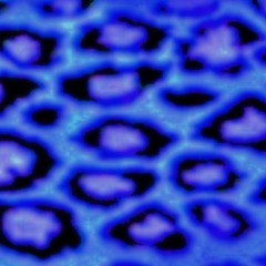BLUDRIFT2