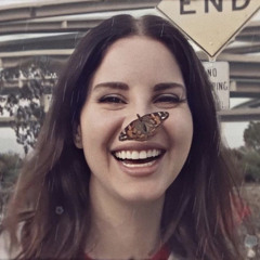 happiness is a butterfly~ cover