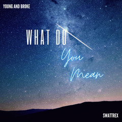 What Do you Mean - Justin Bieber - Remake