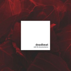 Your likes from Apple Music - 58
