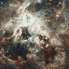 Tiny Desk Concert Submission