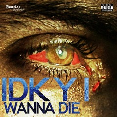 idk Y i wanna die (Prod. HMU???)