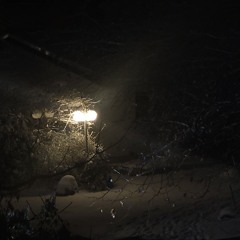 BigXthaPlug - Cold feat. Post Malone (Miontix Remix)