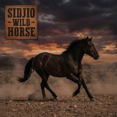 Sidjio - Wild Horse