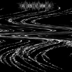 ASYLULM - SOMNI