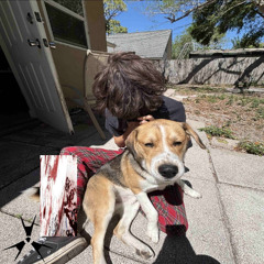 istill want2 prod. ash58/r2l2