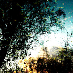 The Endless Tape Machine #43 - Folktronic Excursions