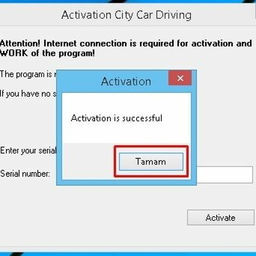 City car driving serial number generator - railgsa