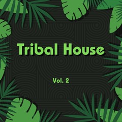 Tribal House Mix Vol. 2