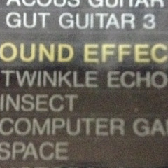 TWINKLE ECHO