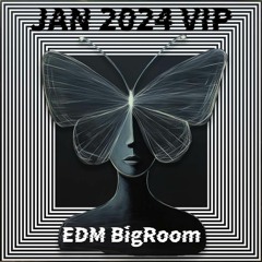 EDM🔥BigRoom🔥VOL.454(31New Pack)(Free Download)(Free Password)